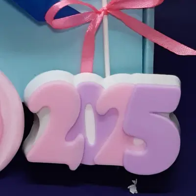 Missis Nova godina 2025